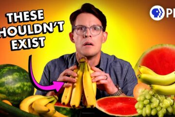 Why Seedless Fruit Is a Disaster Waiting To Happen
