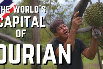 How One Thai Province Supplies the Planet with Durian