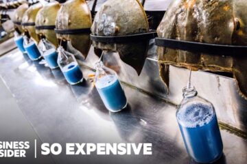 26 Of The Most Expensive Liquids In The World | Business Insider Marathon