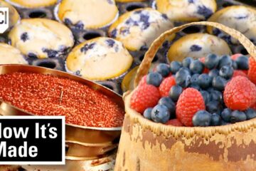 How Cranberries, Blueberries, Berry Baskets, and More Are Made!