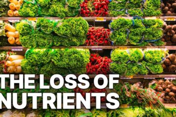 Food Industry Exposed: The Silent Theft of Our Nutrients