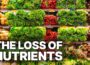 Food Industry Exposed: The Silent Theft of Our Nutrients