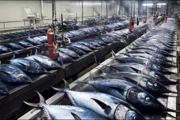 Top 8 Food Factories in Korea That Produce at a Crazy Speed