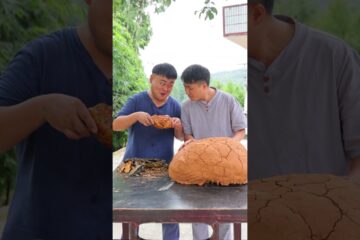 Who do you think got the delicious food?